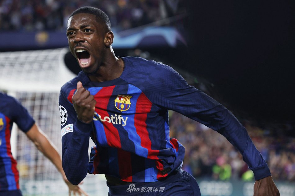 往往会出现 往往会出现